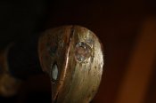 DSC_5686.JPG