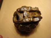 DSC07529.JPG