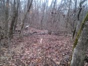 IMG_20210110_145854.jpg