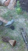IMG_20201005_162057.jpg
