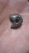 IMG_20201003_184026.jpg