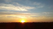 IMG_20201004_180210.jpg