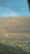 IMG_20201011_150407.jpg