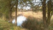 IMG_20201114_093602.jpg