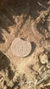 IMG_20201114_110218.jpg