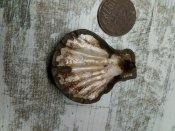 IMG_20210111_213044.jpg