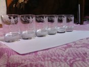 IMG_20110104_163745227.jpg