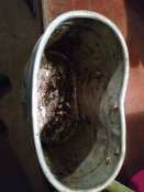 IMG_20210112_165756.jpg
