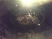 IMG_20210112_165832.jpg