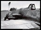 IMG_1800-Tysk Messerschmitt BF 109 G-AMIGO- ved Buldregård. Willy Hansen.JPG