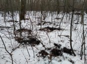 IMG_20210106_114832.jpg