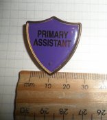 Значок "Primary Assistant" (Англія)