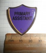 Значок "Primary Assistant" (Англія)