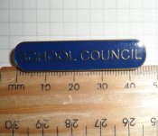 Значок School Council (Англія)