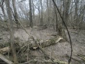 IMG_0212.JPG
