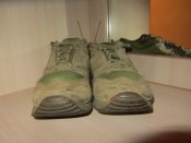 IMG_4312.JPG
