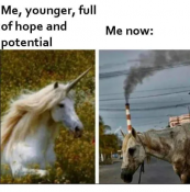 1610702436217586154.png