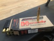 BD587710-C23A-4B17-BE94-77EA699076A3.jpeg