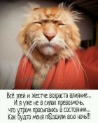 изображение_viber_2021-01-16_15-15-35.jpg