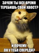 изображение_viber_2021-01-17_21-23-08.jpg