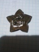 Кокарда Звезда РККА образца 1918 года