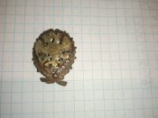 Кокарда РИА