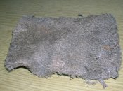DSCN2876.jpg