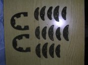 DSCN2870.jpg