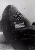 Beier.jpg