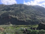 71F06616-BC25-4C58-8E92-70B2BCBAB497.jpeg