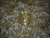 IMG_20200701_181689.jpg