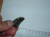 DSCF2431.JPG