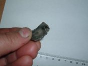 DSCF2432.JPG