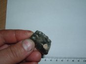 DSCF2434.JPG