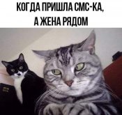 изображение_viber_2021-01-21_20-36-25.jpg