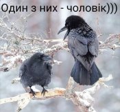 изображение_viber_2021-01-21_22-41-00.jpg