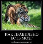 изображение_viber_2021-01-22_12-15-321.jpg