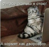 дешево.jpg