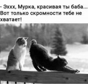 изображение_viber_2021-01-22_21-30-541.jpg