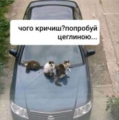 изображение_viber_2021-01-22_22-54-01.jpg
