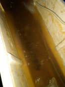 IMG_20210123_145008.jpg