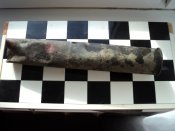 DSC07475.JPG