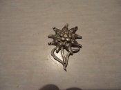 DSC05007.JPG