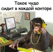 изображение_viber_2021-01-23_20-43-40.jpg