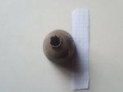 IMG_20210124_080617.jpg