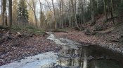 IMG_20210124_144041.jpg