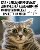 изображение_viber_2021-01-24_10-56-17.jpg