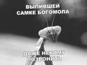 изображение_viber_2021-01-24_17-41-112.jpg