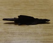 IMG_20210124_195548_180.jpg