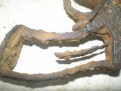 P1010379 — копия.JPG